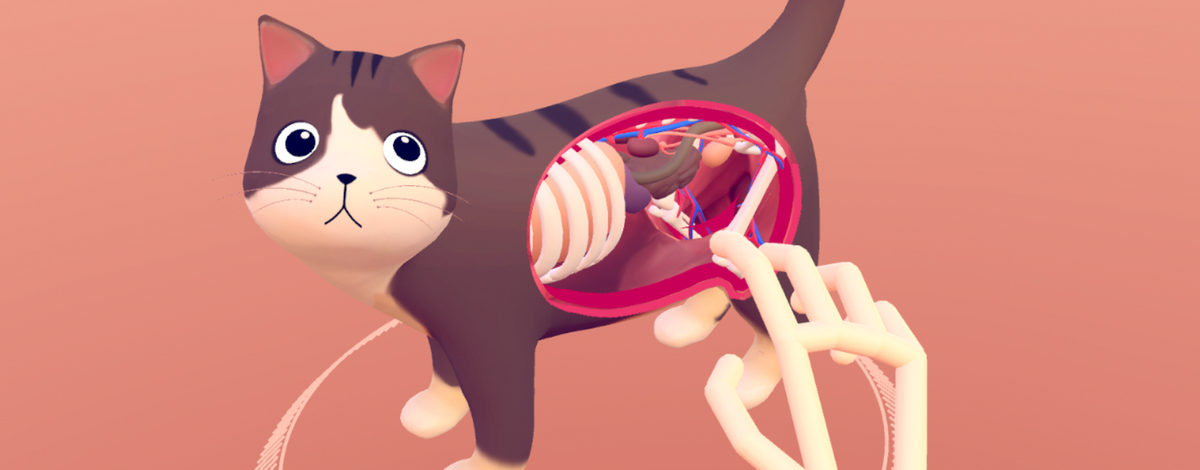 Кот наоборот.